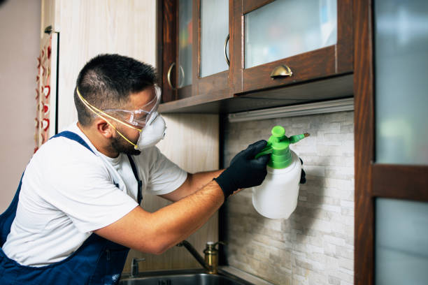 Pest Control Cost in Lamar, MO