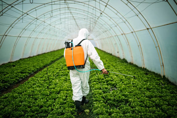 Best Pest Removal Services  in Lamar, MO