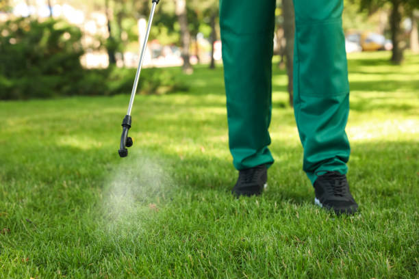 Best Bed Bug Extermination  in Lamar, MO