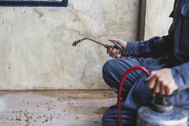 Best Best Pest Control Companies  in Lamar, MO